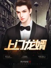 《上门龙婿》封面