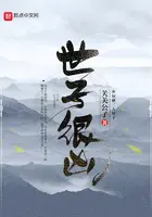 《世子很凶》封面