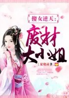 《傻女逆天：废材大小姐》封面