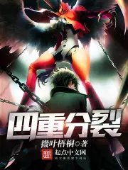 《四重分裂》封面