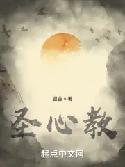 《圣心教》封面