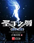 《圣手之尊》封面