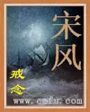 《宋风》封面