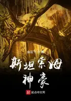 《斯坦索姆神豪》封面