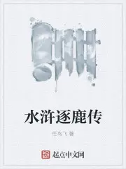 《水浒逐鹿传》封面