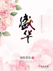《盛华》封面