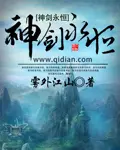 《神剑永恒》封面