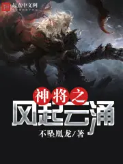 《神将之风起云涌》封面