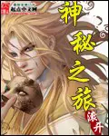《神秘之旅》封面