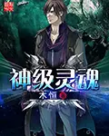 《神级灵魂》封面