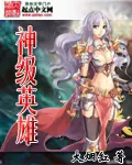 《神级英雄》封面