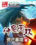 《神魔无双》封面