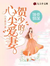 《蚀骨情深：贺少的心尖爱妻》封面