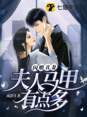 《闪婚丑妻，夫人马甲有点多》封面