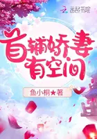 《首辅娇妻有空间》封面
