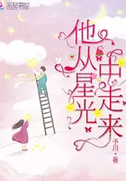 《他从星光中走来》封面