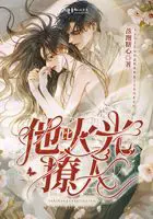 《他比火光撩人》封面