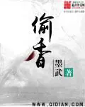 《偷香》封面