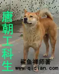 《唐朝工科生》封面