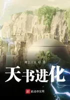 《天书进化》封面