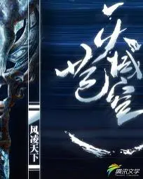 《天域苍穹》封面
