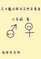 《天才魔法师与天然呆勇者》封面