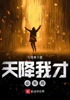 《天降我才必有用》封面