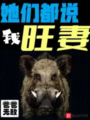《她们都说我旺妻》封面