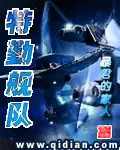 《特勤舰队》封面