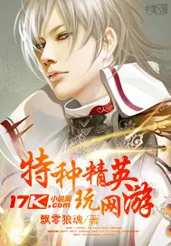 《特种精英玩网游》封面
