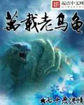 《万载老乌龟》封面