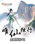 《唯仙独行》封面