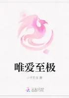 《唯爱至极》封面