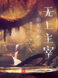 《完美世界之无上主宰》封面