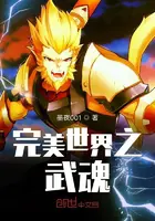 《完美世界之武魂》封面