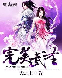 《完美武圣》封面