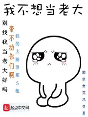 《我不想当老大》封面