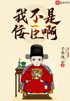 《我不是佞臣啊》封面