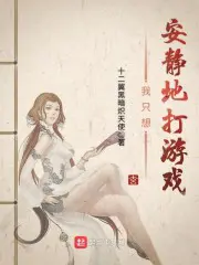 《我只想安静地打游戏》封面