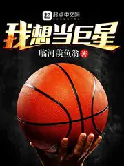 《我想当巨星》封面