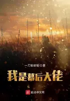 《我是幕后大佬》封面