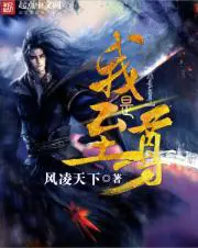 《我是至尊》封面
