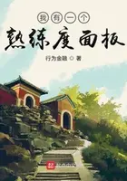 《我有一个熟练度面板》封面