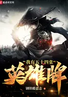 《我有五十四张英雄牌》封面