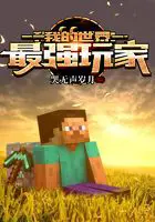 《我的世界：最强玩家》封面
