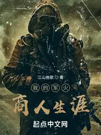《我的军火商人生涯》封面
