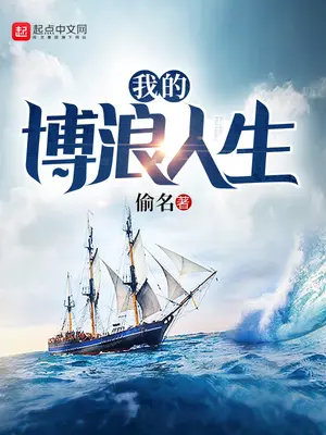 《我的博浪人生》封面