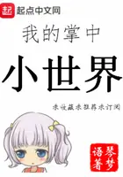 《我的掌中小世界》封面