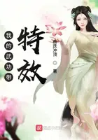 《我的武功带特效》封面