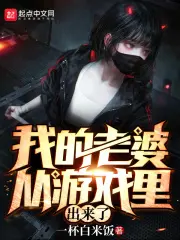 《我的老婆从游戏里出来了》封面